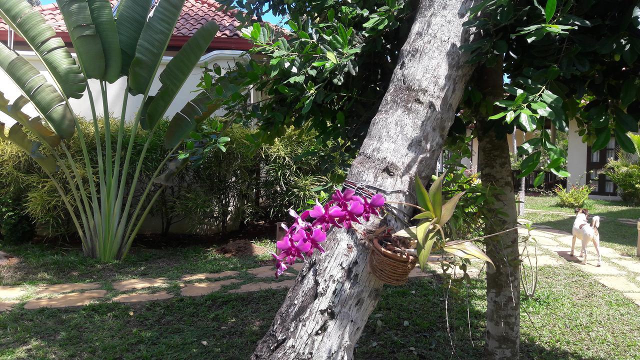 Lanka Beach Grand Villa Rekawa Exterior foto